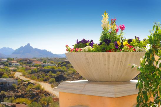 Fountain Hills, AZ 85268 14