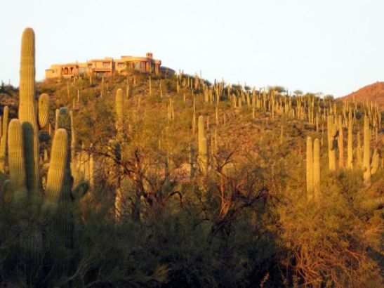 42820 N Fleming Springs RD Cave Creek, AZ 85331 6