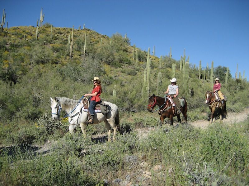 Cave Creek Horse ride