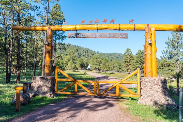 Log 🪵 Cabin Luxury: In Arizona, there’s no place like this log home ...